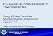 THE ELECTRIC POWER INDUSTRY: Power Capacity · PDF filePeaking Capacity requirement) ... Action Plans • Increase supply ... THE ELECTRIC POWER INDUSTRY: Power Capacity Mix Energy