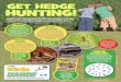 GET HEDGE HUNTING! - Explore Nature · PDF fileGET HEDGE HUNTING! Looking at the ... Start exploring the wildlife of a hedge near you – you could take notes, ... insects and berries