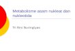 [PPT]Metabolisme asam nukleat dan nukleotida · Web viewMetabolisme asam nukleat dan nukleotida Tri Rini Nuringtyas Nukleosida Nukleotida Asam nukleat Hampir semua organisme mampu