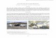 The X-38 V-201 Flap Actuator Mechanism · PDF fileThe X-38 V-201 Flap Actuator Mechanism Jeff Hagen*, Landon Moore**, Jay Estes**, and Chris Layer+ Abstract The X-38 Crew Rescue Vehicle
