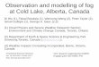 Observation and modelling of fog at Cold Lake, Alberta, · PDF fileObservation and modelling of fog at Cold Lake, Alberta, Canada Di Wu (1), Faisal Boudala (1), Wensong Weng (2), Peter