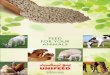UNIFEED UNIFEED - · PDF fileUNIFEED brings you a full range of high quality animal feeds 1. UNIFEED for Livestock (camels, goats, sheep) UNIFEED for livestock is the ideal ration