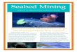 Seabed Mining - University of British Columbiablogs.ubc.ca/biol420ocean/files/2014/06/Tamara_Policy... ·  · 2016-01-12Seabed Mining Impacts of Experimental Deep Sea Mining Should
