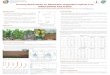 Background Key findings -  · PDF fileDeforestation and cropland/soil degradation in Sub-Saharan ... Five woody species used in the afforestation trial in Northern Benin