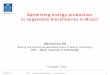 Optimizing energy production in sugarcane biorefineries · PDF fileOptimizing energy production in sugarcane biorefineries in Brazil . ... a plant but considers the total cost of the