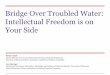 Bridge Over Troubled Water: Intellectual Freedom is on ... · PDF fileBridge Over Troubled Water: Intellectual Freedom is on Your Side Kirsten Clark Interim Director of Access and