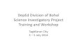 DepEd Division of Bohol Science Investigatory Project ... · PDF fileScience Investigatory Project ... your research work too much. ... DepEd Division of Bohol Science Investigatory