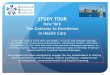 New York The Gateway to Excellence in Health Care NewYork StudyTour_Provisional... · Professor Sherry Glied is Dean of New York University’s Robert F. ... (Blue Cross Blue Shield