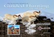Economic Impacts of Guided Hunting Final - Alaska · PDF file · 2016-10-30Economic Impacts of Guided Hunting in Alaska Prepared for: Alaska Professional Hunters Association Prepared