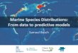 Marine Species Distributions: From Data to Predictive Models