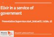 Public Elixir in a service of government - Alex Troush