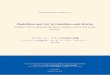 Monika Zin - Buddhism and Art in Gandhara and Kucha vol 1 · PDF fileINTERNATIONAL SYMPOSIUM Buddhism and Art in Gandh ra and Kucha Buddhist Culture along the Silk Road: Gandh ra,