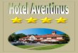 Name of the hotel - · PDF file1. Name of the hotel (What does the name of the hotel indicate? Why this name was chosen?) is the first, exclusive four-star hotel in Nyíregyháza