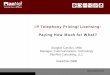 IP Telephony Pricing/Licensing: Paying How Much … IP Telephony Pricing/Licensing: Paying How Much for What? Douglas Carolus, MBA Manager, Communications Technology PlanNet Consulting,
