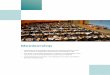 Annual Report 2016 - Membership · PDF fileOur WTO membership will cement our long-standing commitment to an ... internship scheme at the WTO ... the Director-General’s Annual Report
