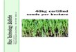 seeds per hectare Bulletin Rice Technology Philippine Rice ... · PDF fileSurvey of 50 farmers in Nueva ... These seeds bear the blue tag from the Seed Quality Control Services of