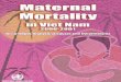 Maternal  · PDF fileMaternal mortality in Viet Nam, 2000 ... Philippines, Fax. No. (632) 521-1036, email ... Table 10: Maternal Mortality ratio and maternal mortality rate in