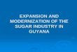 EXPANSION AND MODERNIZATION OF THE SUGAR …jamaicasugar.org/SIRISection/wist/Presentations/Expansion and... · Equipments of major interest are: ¾. Heavy Duty Hammer Shredder. ¾
