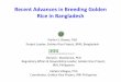 Recent Advances in Breeding Golden Rice in …ilsirf.org/wp-content/uploads/sites/5/2016/09/Biswas-P.pdfRecent Advances in Breeding Golden Rice in Bangladesh Partha S. Biswas, PhD