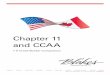 Chapter 11 and CCAA - blakesfiles.comblakesfiles.com/Guides/Blakes_Restructuring_and_Insolvency_Canada.pdf2 « Chapter 11 and CCAA: A Cross-Border Comparison CHAPTER 11 CONCEPT CCAA