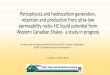 Petrophysics and hydrocarbon generation, retention and ... · PDF filePetrophysics and hydrocarbon generation, ... Armin Hosseinian Post Doc ... - build basin model to predict hydrocarbon