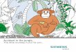 Accident in the jungle. The little monkey hurts his arm. · PDF fileWhile playing in the jungle, the little monkey fell off a tree. ... c r e a t i n g p i c t u r e s o f t b o n