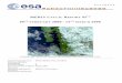 YCLIC REPORT 45 - ESA Earth Observation Data - Earth ... · PDF fileMERIS Cyclic Report – Cycle 45th issue issue revision revision author auteur ... /parag raph(s) MERIS Cyclic Report