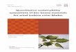 Quantitative sustainability assessment of bio-based ...tesi.cab.unipd.it/44879/1/Andrea_Corona_QUANTITATIVE_SUSTANI... · Antonio Scipioni CESQA Università degli studi di Padova