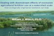 William J. Mitsch, Ph.D. - web.natur.cuni.czweb.natur.cuni.cz/hydroeco2015/download/presentations/oral/S12/S12... · Gulf of “River of Grass ... Source: Dolan and Chapra (2012)
