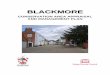 Blackmore Conservation Area Character Appraisal - · PDF file1 1. INTRODUCTION Brentwood Borough Council commissioned Essex County Council to prepare this Conservation Area Appraisal