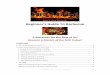 Beginner’s Guide To Barbecue - HellFire.prohellfire.pro/BBQ-beginners-guide.pdf · – Professional BBQ Products 1. P a g e Beginner’s Guide To Barbecue A Refresher for the Rest