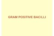 GRAM POSITIVE BACILLImicrobiology.free.fr/Presentations/g+bacilli.pdf · 1.BACILLUS • Bacillus anthracis – Human pathogen – Isolation also considered to be clinically significant