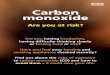 Carbon monoxide - · PDF fileCarbon monoxide Are you at risk? ... pilot light or flame from a gas appliance is burning orange or ... turn off the appliance or put out the fire (or