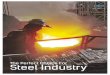 The Perfect Choice For Steel Industry - FKL · PDF fileFKL India Pvt. Ltd. is an authorised distributor of FKL s.r.o., Slovakia and started its operation in 2007. momentum right. The