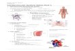 Macromolecules - welcome to Ms. stephens' anatomy · Web vieware tubes which transport blood A. Function: _____ blood Carry out the _____ and waste Regulate blood pressure Direct blood