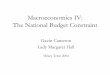 Macroeconomics IV: The National Budget Constraint · PDF fileMacroeconomics IV: The National Budget Constraint ... not Big Macs! • Differences in ... • The Terms of Trade are determined