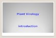 Plant Virology introduction - Himachal Pradesh Agriculture ...hillagric.ac.in/edu/coa/ppath/lect/PlantVirology/Lect. 1 Plant... · Plant Virology- An Introduction ... Mycoplasma (Phytoplsma):