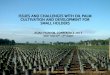 ISSUES AND CHALLENGES WITH OIL PALM … Mr. Rahmat Kamisan... · a strategic paper for thailand oil palm development issues and challenges with oil palm cultivation and development