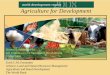 Agriculture for Development - Sustainable development · PDF fileKcal consumption/capita/day ... World Development Report 2008 India, ... Cropland per capita of agricultural population: