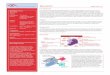 Monociti - mqzh.ch · PDF fileprocessi di divisione e di maturazione. Occorrenza ... (plasmacellula) Linfocita T Fagosoma Fagolisosoma Lisosoma Complesso MHCII +