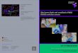 The lower limb and paediatric FRCS SE13 6LH (Orth ... · PDF fileThe lower limb and paediatric FRCS (Orth) revision course 16—17 March 2018 Venue: Day 1: Queen Elizabeth Hospital,