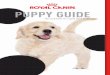 PUPPY GUIDE - Royal Canin/media/Royal-Canin/landing-pages/mpr/... · PUPPY GUIDE. AT HOME TOGETHER ... TEETHING PHASE ERUPTION Temporary Teeth 1 month ... For most puppies’ coats,