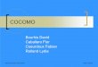 Cocomo - files.gl3.webnode.frfiles.gl3.webnode.fr/200000016-2f549304ee/cocomo.pdf · Présentation de COCOMO COnstructive COst MOdel ... FSP Effort pour la 