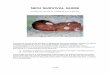 NICU SURVIVAL GUIDE - Pediatric Residency Program: JAX · PDF fileNICU SURVIVAL GUIDE ... tidal volume maintained by the ventilator as the pressure limit varies inversely with lung
