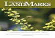 MSU Emphasizes Pollinator Research and Education · PDF fileMSU Emphasizes Pollinator Research and Education ... or marvel at the unique work ... volves laser and mass spectrometry
