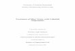 Treatment of Mine Water with Colloidal Suspensionseprints.usq.edu.au/2474/1/Johnston_Kristine_2006.pdf · Treatment of Mine Water with Colloidal Suspensions ... clay. Through the