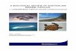 A Biolgical Review of Australian Marine · PDF fileA BIOLOGICAL REVIEW OF AUSTRALIAN MARINE TURTLES. 1. LOGGERHEAD TURTLE Caretta caretta (Linnaeus) Colin J. Limpus Freshwater and