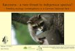 Raccoons - a new threat to indigenous species? - a new threat to indigenous species? ... Taxonomy Working Group Wildlife Research ... Priscilla Barret