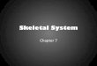 Skeletal System - Rankin County School · PDF fileSkeletal System Components • ... • Enable(awide(variety(of(body(movements ... Hinge Joint • Occurswhere( aconvex(surface(ﬁts(into(a