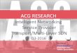 ACG Research Service Provider Market Analysis - · PDF fileInfinera Xceed Xceed Multi-layer SDN Controller X Windstream use Juniper NorthStar NorthStar Controller ... ACG Research